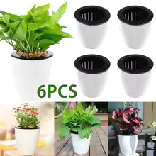 Self-Watering Plant Pots
